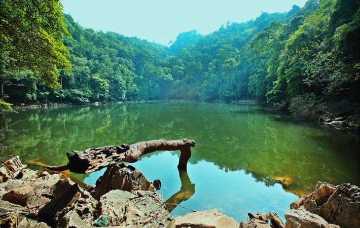 Việt Nam có bao nhiêu khu bảo tồn sinh thái - Bạn Nên Biết